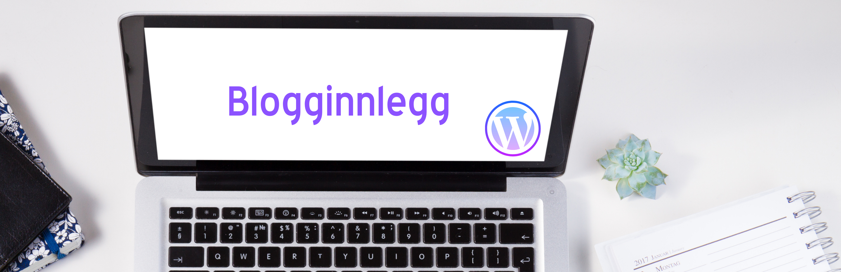 blogginnlegg